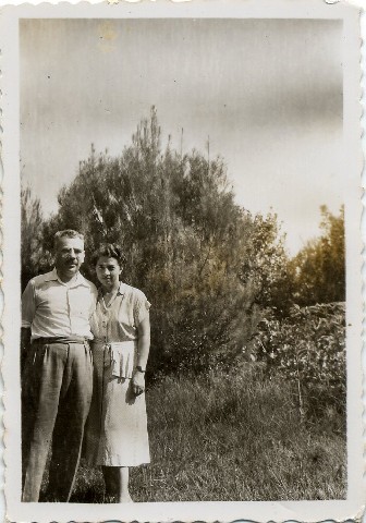 Photograph